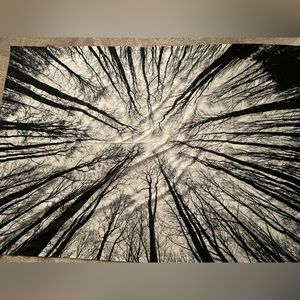 Urban Outfitters Tapestry- Trees in Black and White